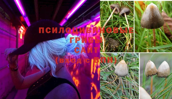 винт Барнаул