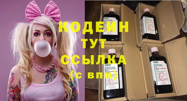 apvp Инта