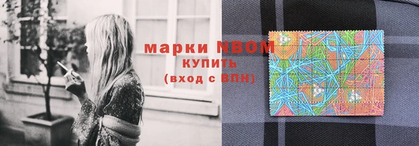 apvp Инта