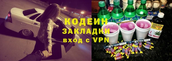 apvp Инта